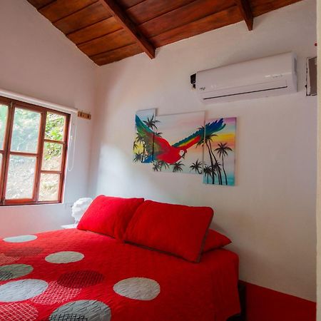 Selva Color - Forest & Beach Ecolodge Quebrada Ganado Quarto foto