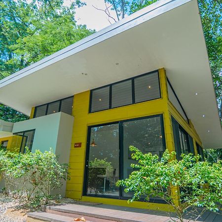 Selva Color - Forest & Beach Ecolodge Quebrada Ganado Exterior foto