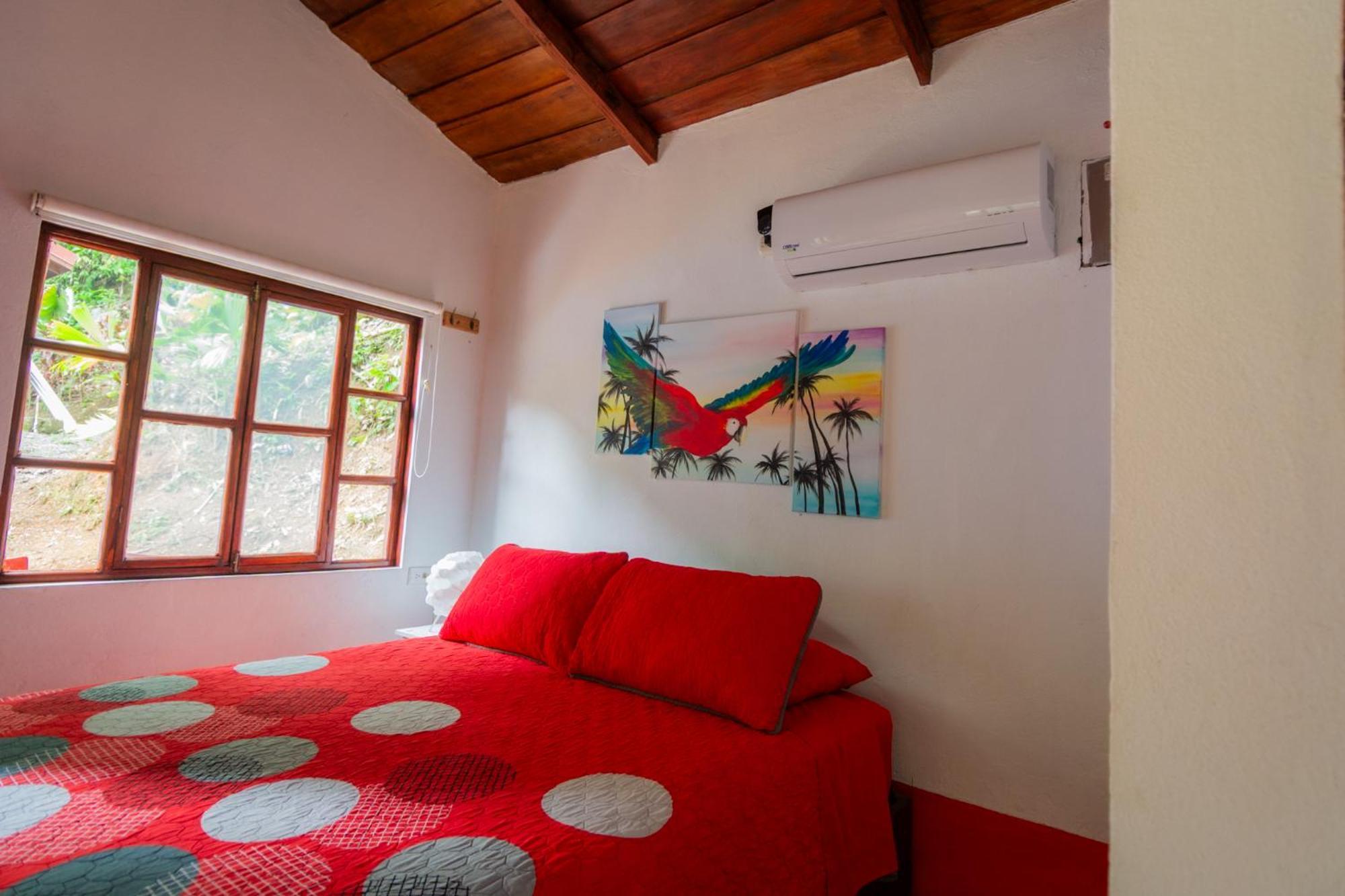 Selva Color - Forest & Beach Ecolodge Quebrada Ganado Quarto foto